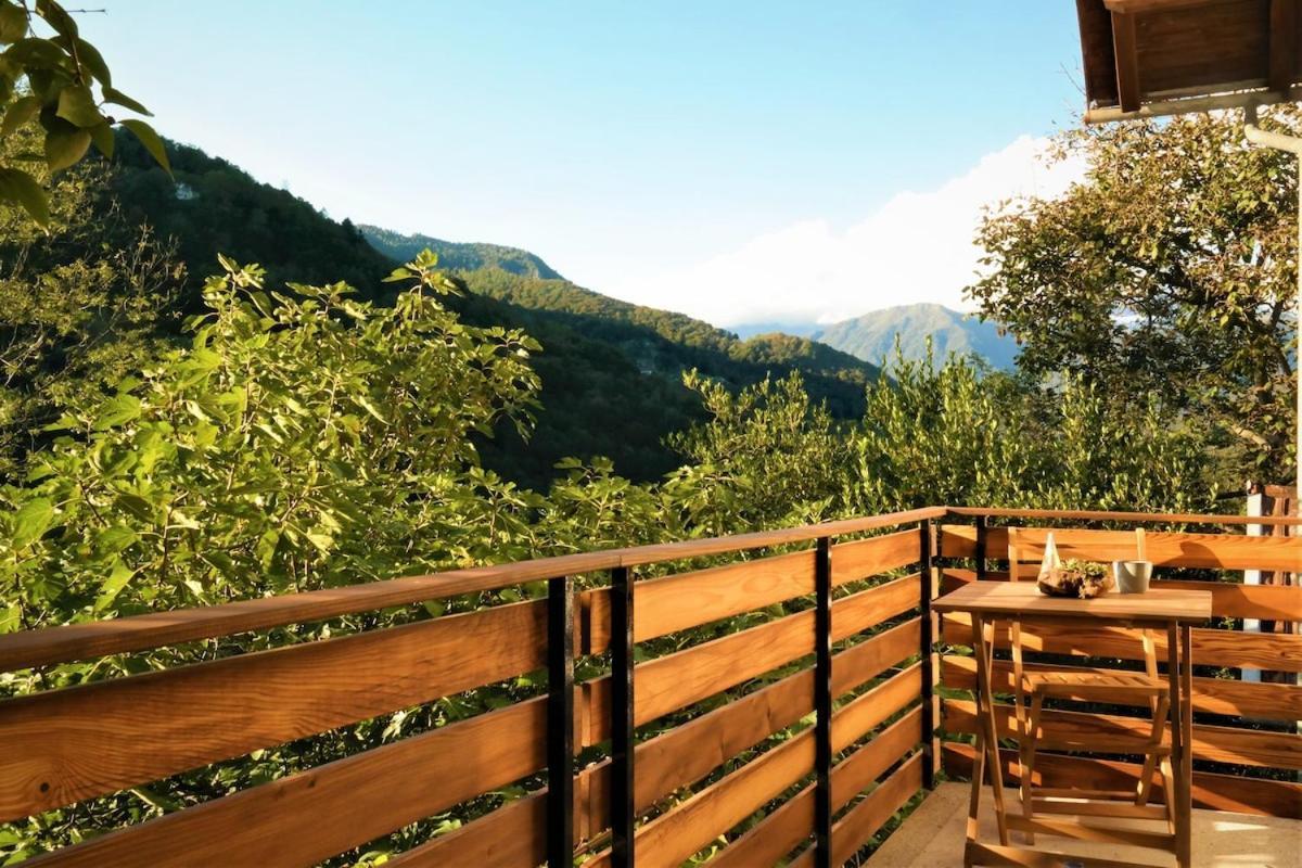 Moksha Slovenia