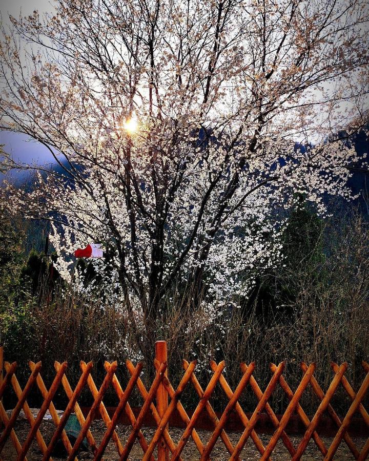 Apartmán Moksha Slovenia