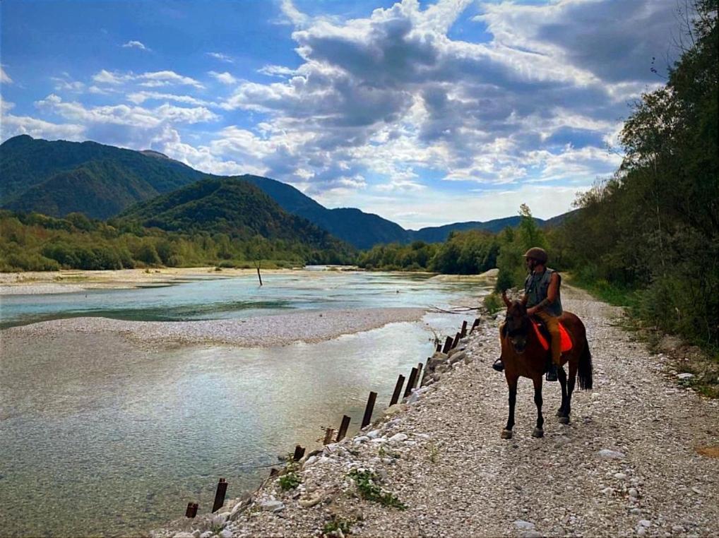 Moksha Slovenia Apartmán
