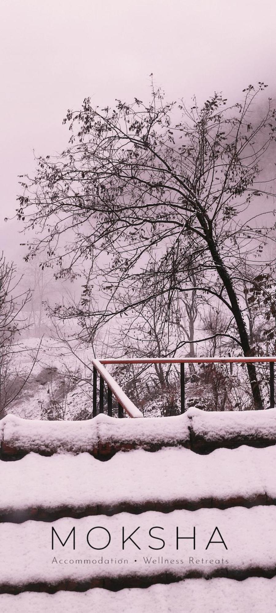 Moksha Slovenia Apartmán